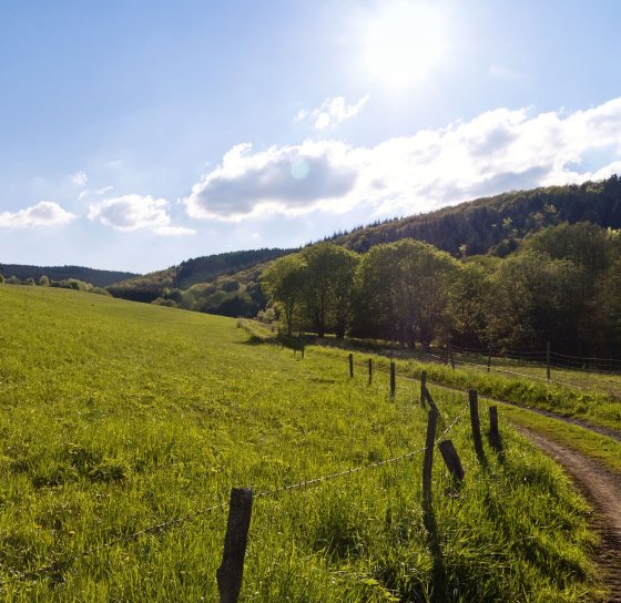 Eifelsteig wandelroute