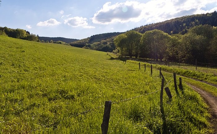 Eifelsteig hiking trail