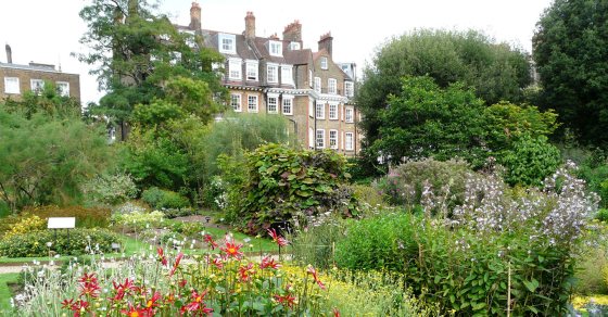 Chelsea Physic garden